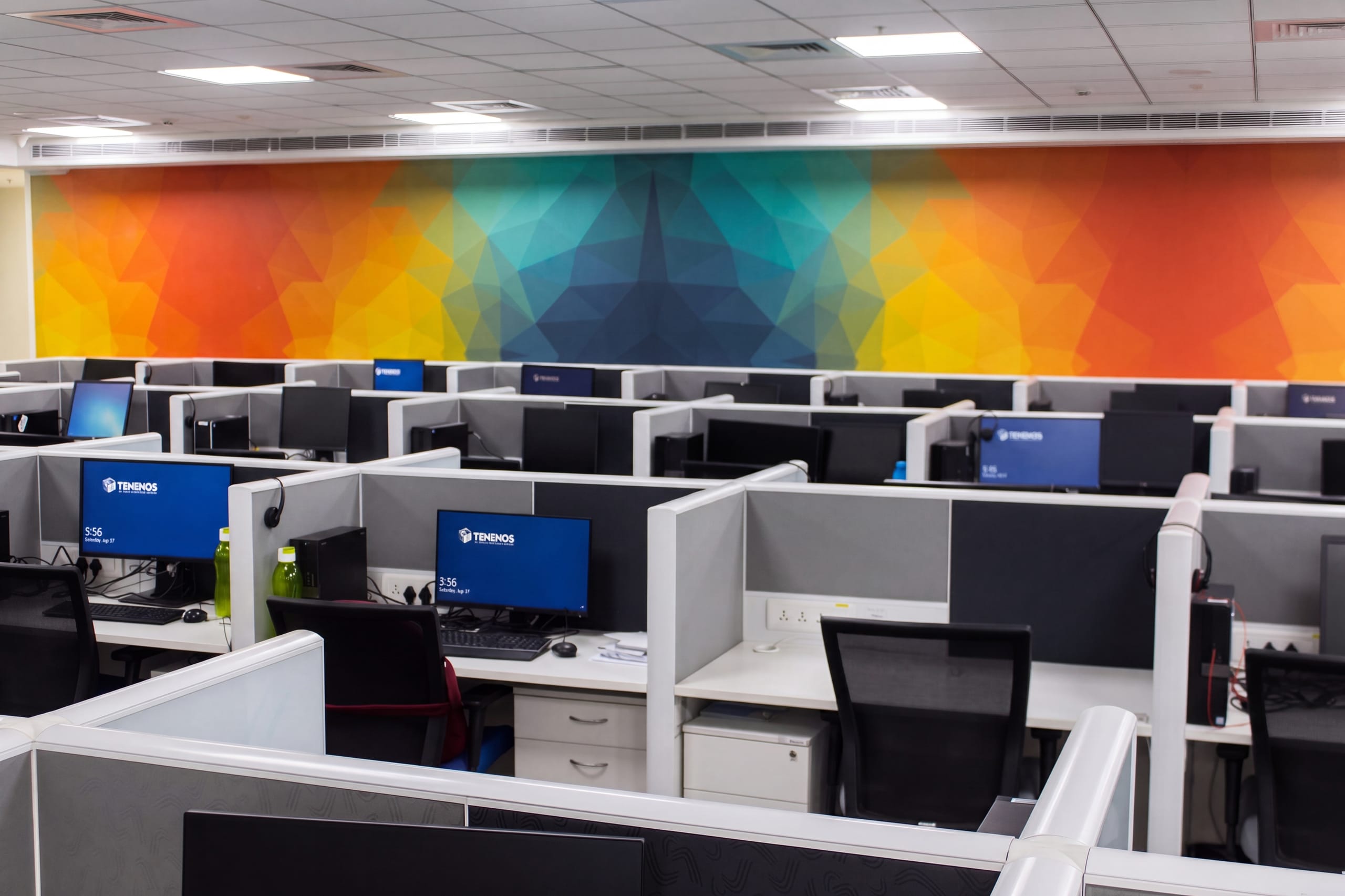 Workstations with wall graphics at Temenos office